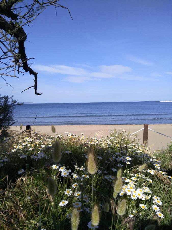 Apartamentos Stil Mar Anna - L'Escala Stil Mar エクステリア 写真
